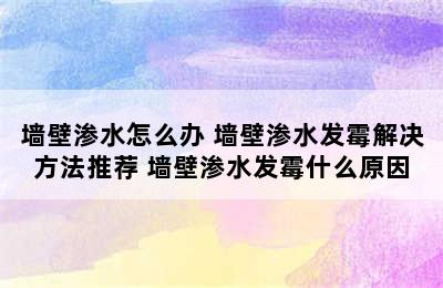 墙壁渗水怎么办 墙壁渗水发霉解决方法推荐 墙壁渗水发霉什么原因